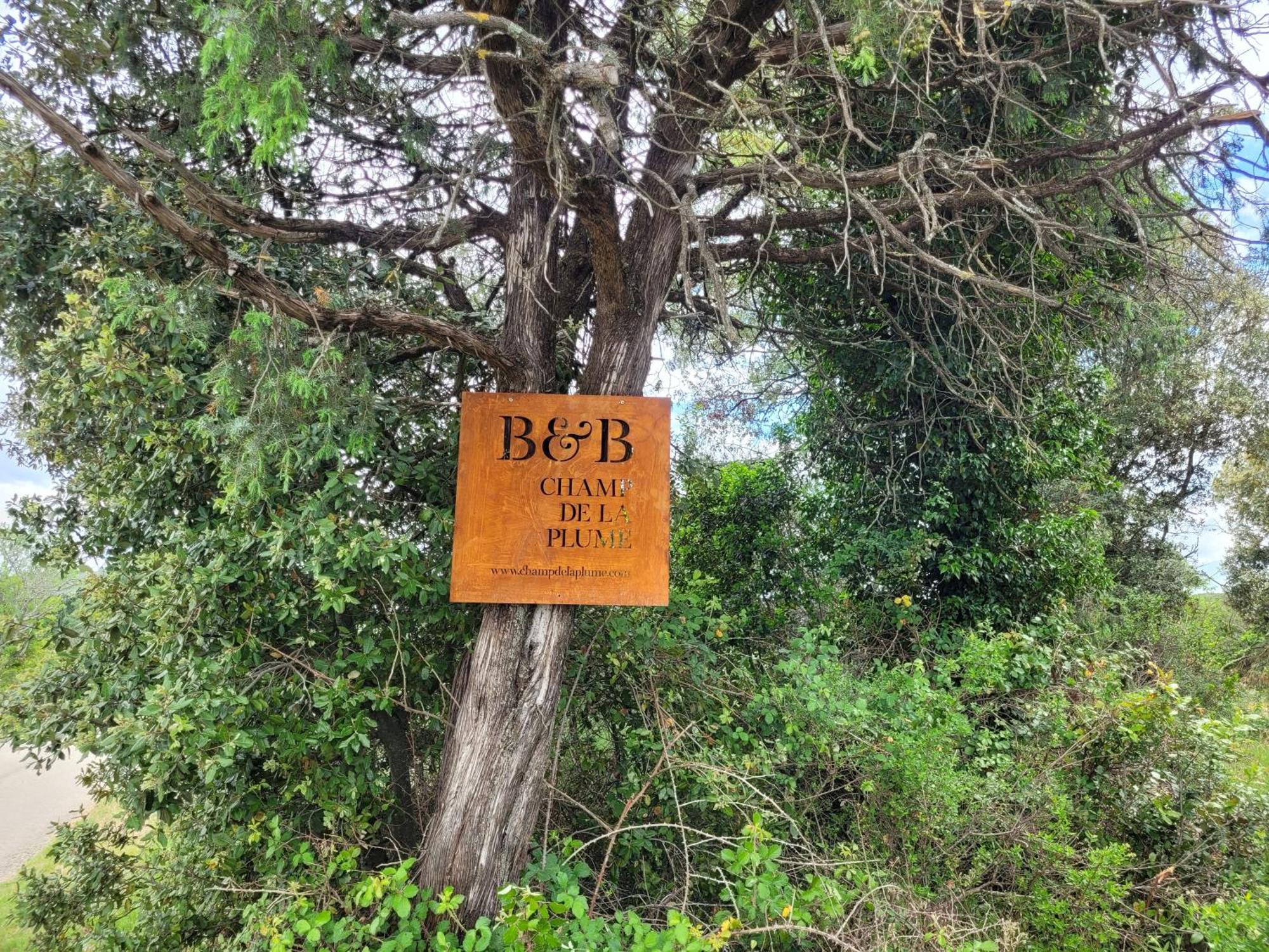 B&B Champdelaplume 巴尔雅克 外观 照片